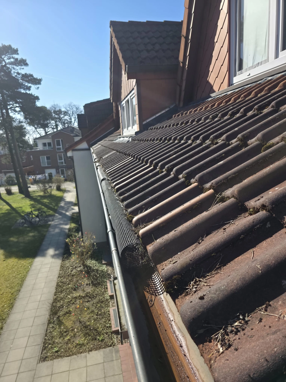 Duka Reinigung - Gebäudereinigung - Nahaufnahme einer mit Laub und Schmutz verstopften Dachrinne neben verwitterten Dachziegeln.